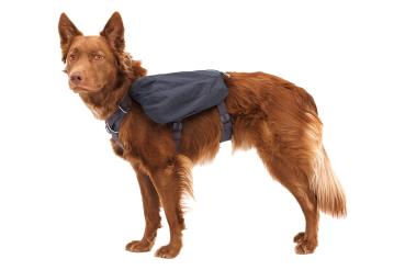 Ruffwear Front Range Day Pack Basalt Gray Gr. S